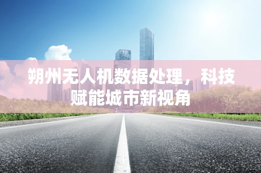 朔州无人机数据处理，科技赋能城市新视角