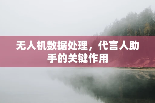 无人机数据处理，代言人助手的关键作用