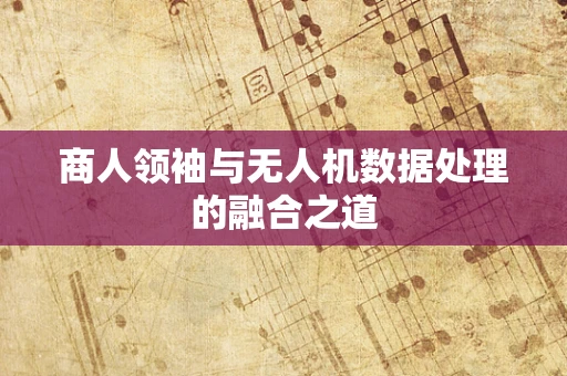 商人领袖与无人机数据处理的融合之道
