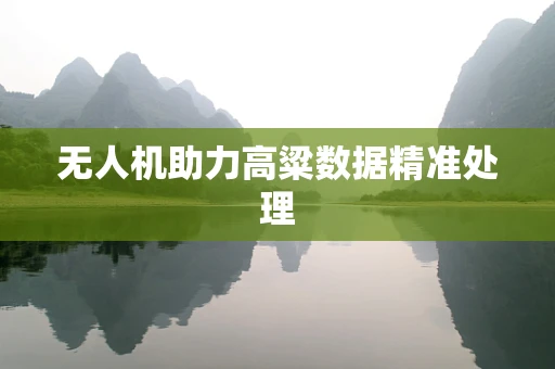 无人机助力高粱数据精准处理