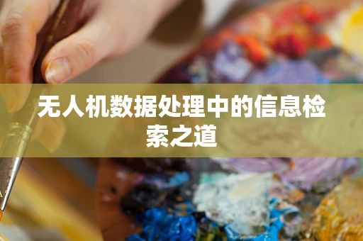 无人机数据处理中的信息检索之道