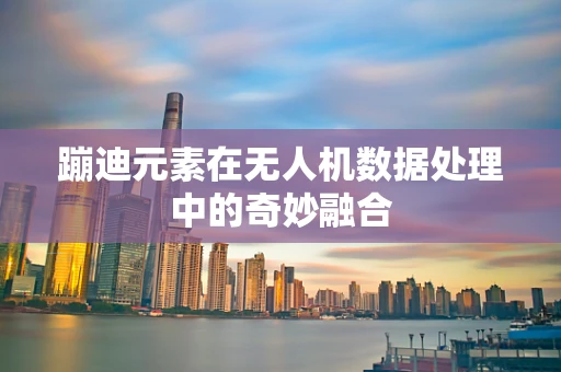 蹦迪元素在无人机数据处理中的奇妙融合