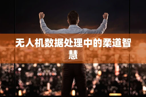 无人机数据处理中的柔道智慧