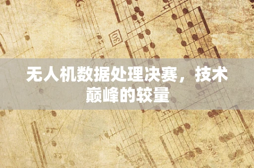 无人机数据处理决赛，技术巅峰的较量