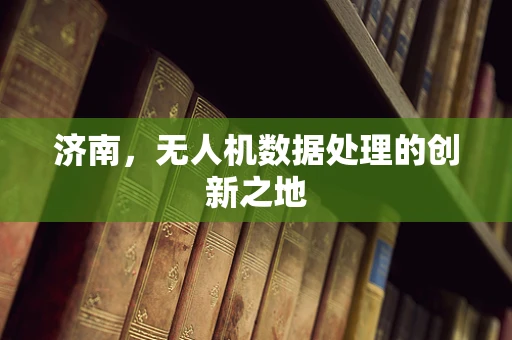 济南，无人机数据处理的创新之地