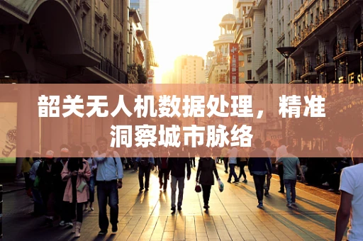 韶关无人机数据处理，精准洞察城市脉络