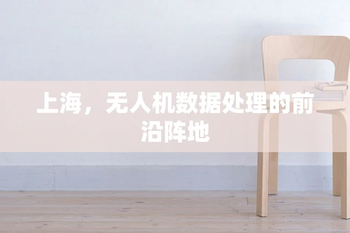 上海，无人机数据处理的前沿阵地