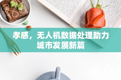 孝感，无人机数据处理助力城市发展新篇