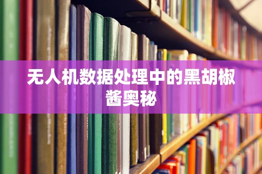 无人机数据处理中的黑胡椒酱奥秘