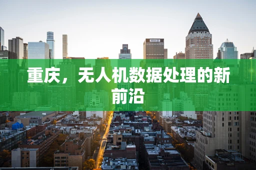 重庆，无人机数据处理的新前沿