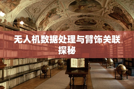 无人机数据处理与臂饰关联探秘