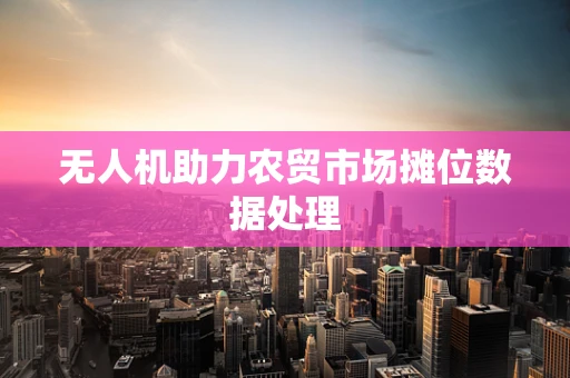 无人机助力农贸市场摊位数据处理