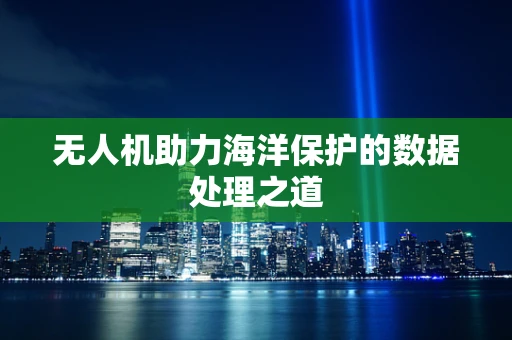 无人机助力海洋保护的数据处理之道