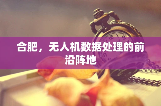 合肥，无人机数据处理的前沿阵地