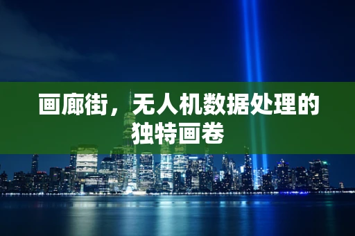 画廊街，无人机数据处理的独特画卷