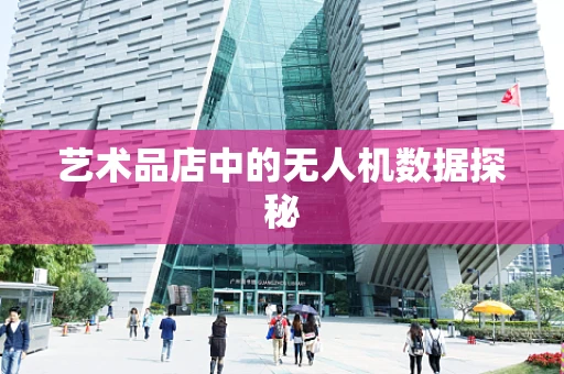 艺术品店中的无人机数据探秘