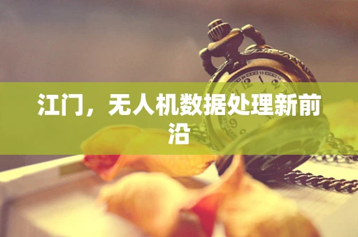 江门，无人机数据处理新前沿