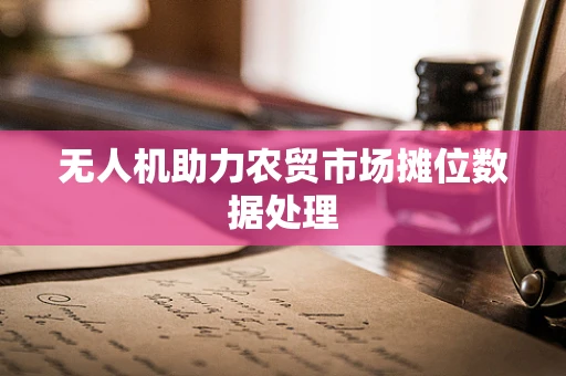 无人机助力农贸市场摊位数据处理