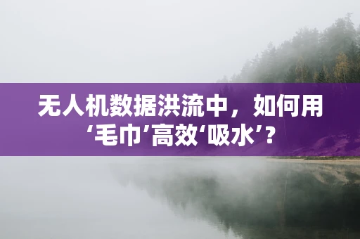 无人机数据洪流中，如何用‘毛巾’高效‘吸水’？