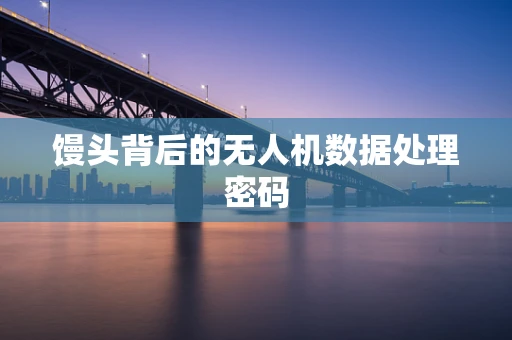 馒头背后的无人机数据处理密码