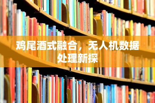 鸡尾酒式融合，无人机数据处理新探