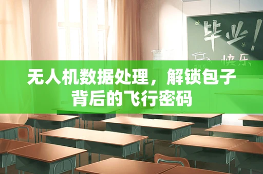 无人机数据处理，解锁包子背后的飞行密码