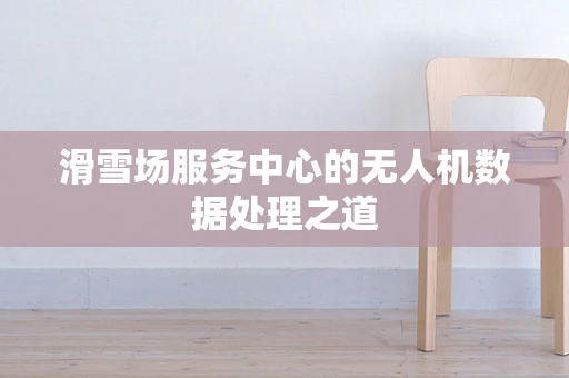 滑雪场服务中心的无人机数据处理之道