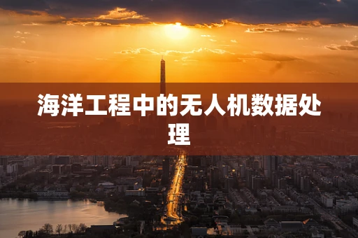 海洋工程中的无人机数据处理