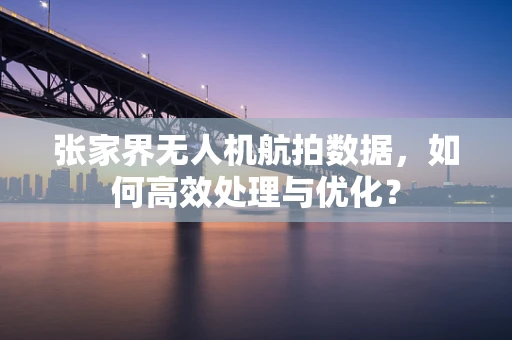 张家界无人机航拍数据，如何高效处理与优化？