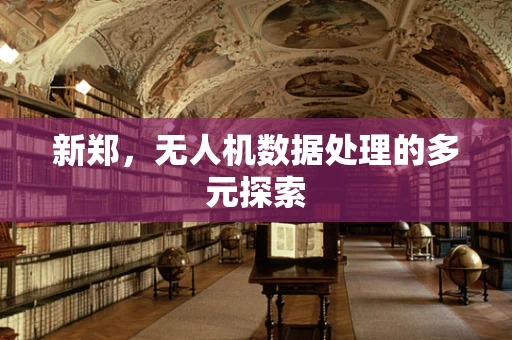 新郑，无人机数据处理的多元探索