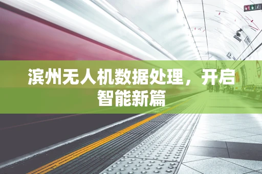 滨州无人机数据处理，开启智能新篇