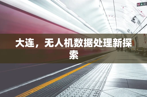 大连，无人机数据处理新探索