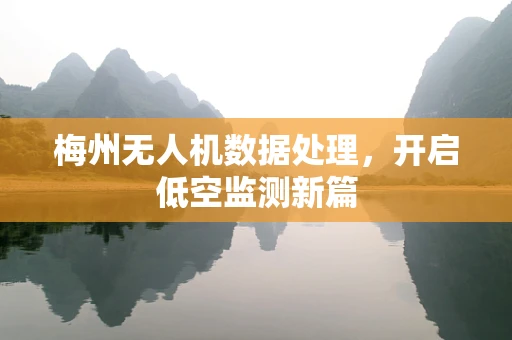 梅州无人机数据处理，开启低空监测新篇