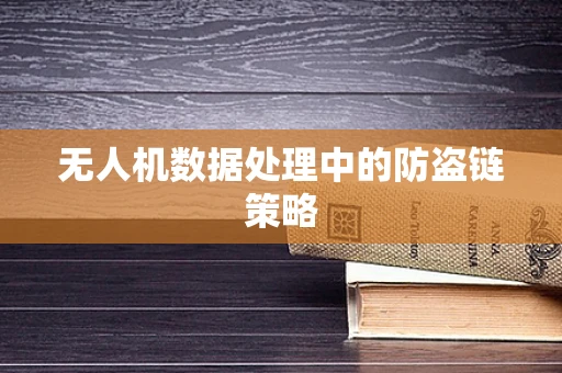 无人机数据处理中的防盗链策略