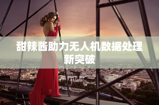 甜辣酱助力无人机数据处理新突破