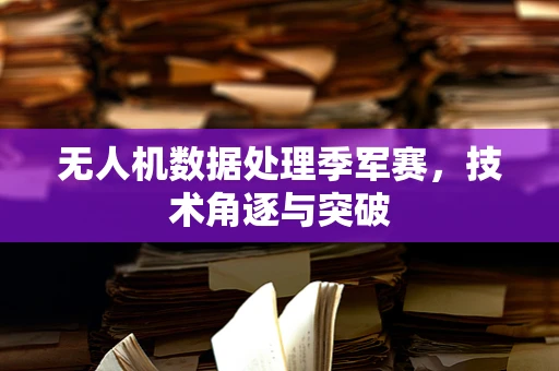 无人机数据处理季军赛，技术角逐与突破