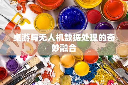 桌游与无人机数据处理的奇妙融合