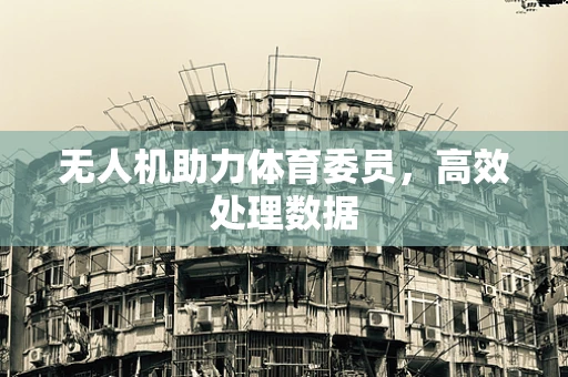无人机助力体育委员，高效处理数据