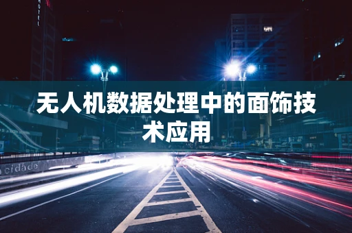无人机数据处理中的面饰技术应用