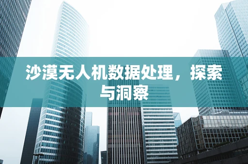 沙漠无人机数据处理，探索与洞察