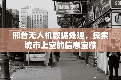 邢台无人机数据处理，探索城市上空的信息宝藏