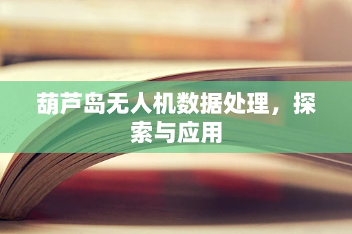 葫芦岛无人机数据处理，探索与应用