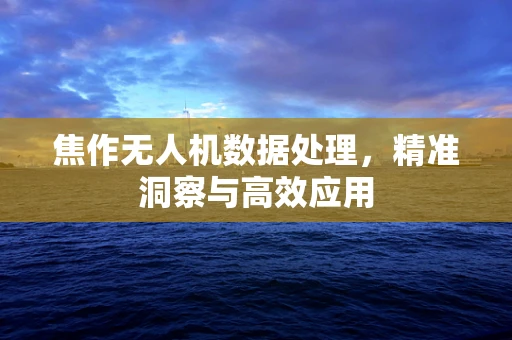 焦作无人机数据处理，精准洞察与高效应用