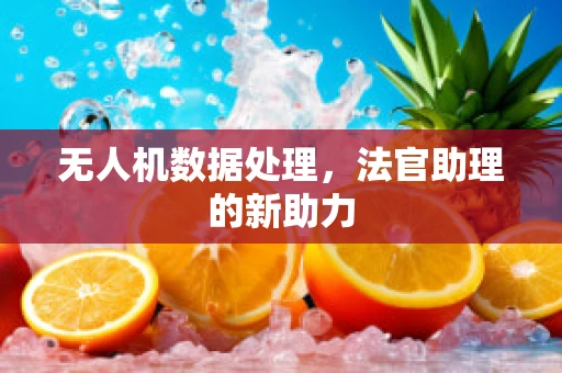 无人机数据处理，法官助理的新助力