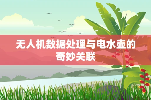 无人机数据处理与电水壶的奇妙关联