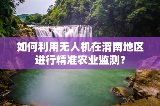 如何利用无人机在渭南地区进行精准农业监测？