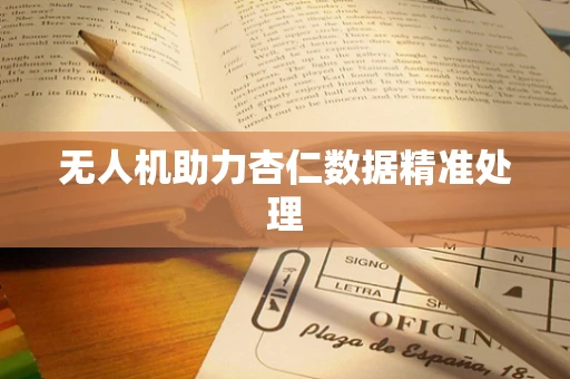 无人机助力杏仁数据精准处理