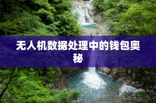 无人机数据处理中的钱包奥秘