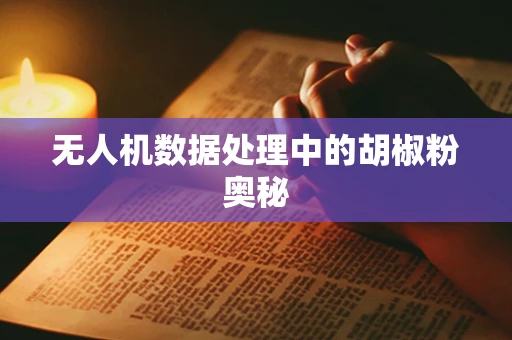 无人机数据处理中的胡椒粉奥秘