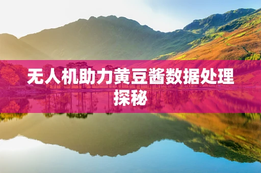 无人机助力黄豆酱数据处理探秘
